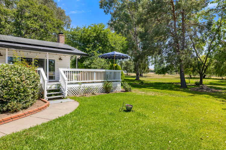 Meadow and mature trees